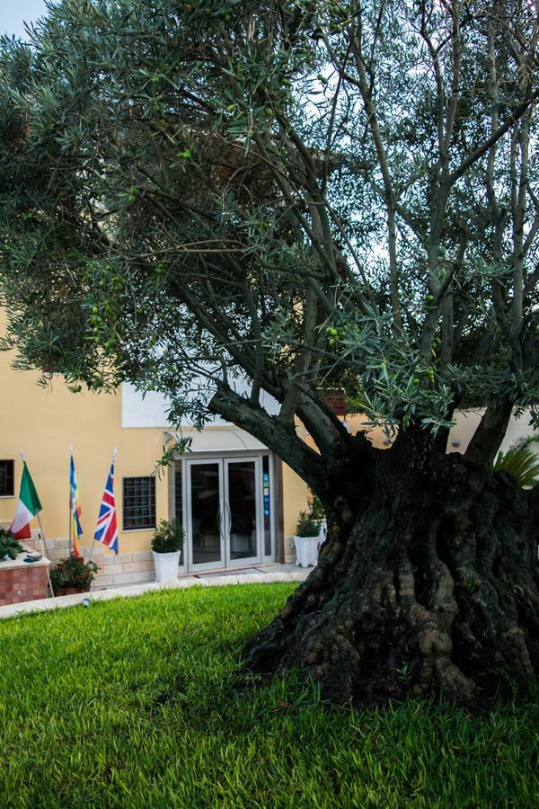 Hotel Ginevra Poggiomarino エクステリア 写真